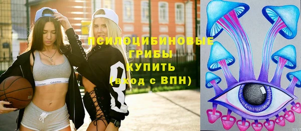 спайс Алзамай