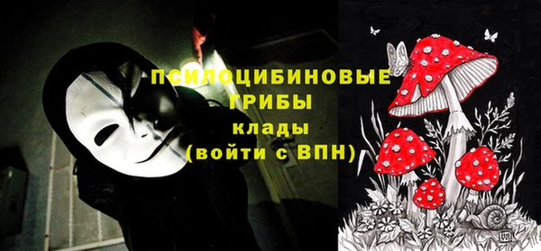 спайс Алзамай