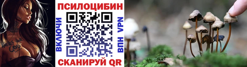 маркетплейс официальный сайт Гдов Псилоцибиновые грибы Psilocybine cubensis