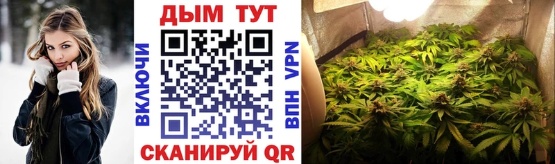 площадка формула  Гдов  Каннабис Ganja 